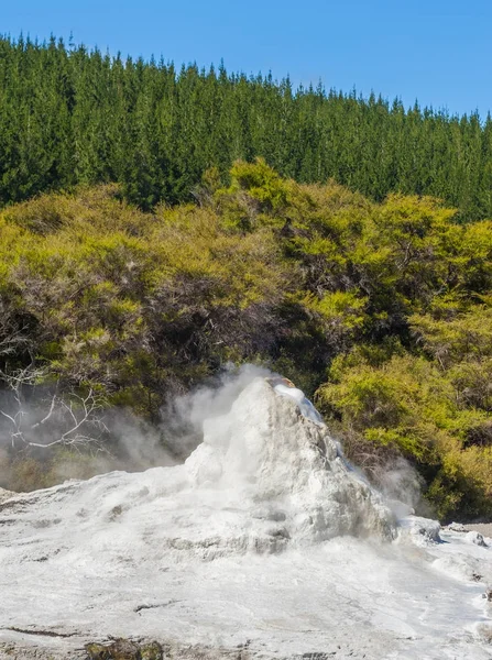 Geyser ledy knox — Fotografia de Stock