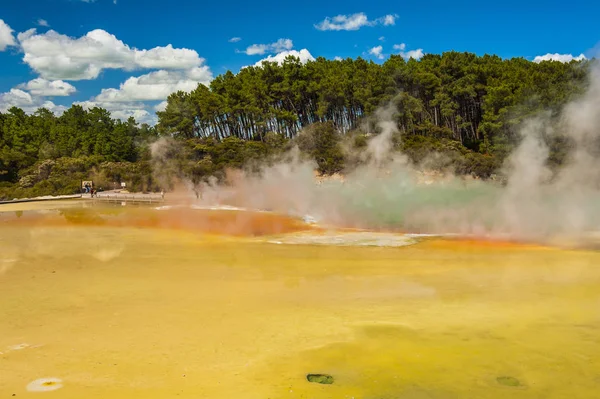 Die Palette der Künstler im Neuseeland — Stockfoto