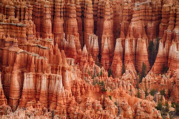 Bryce Canyon en los Estados Unidos —  Fotos de Stock