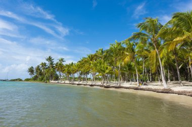 Anse şampanya beach