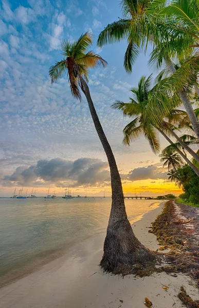 Anse Champagne-stranden – stockfoto