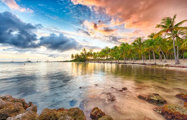 Anse Champagne-stranden – stockfoto