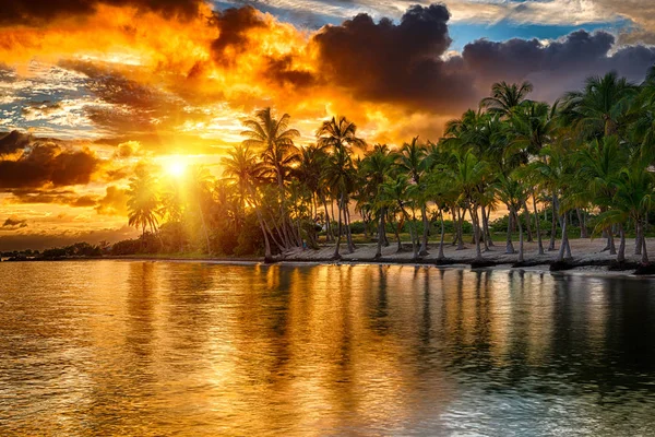 Anse szampana beach — Zdjęcie stockowe