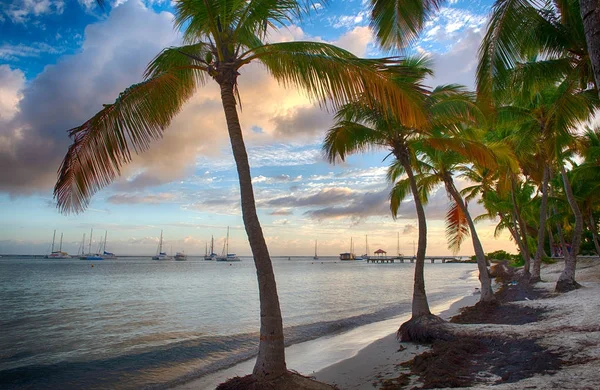 Anse pezsgő beach — Stock Fotó