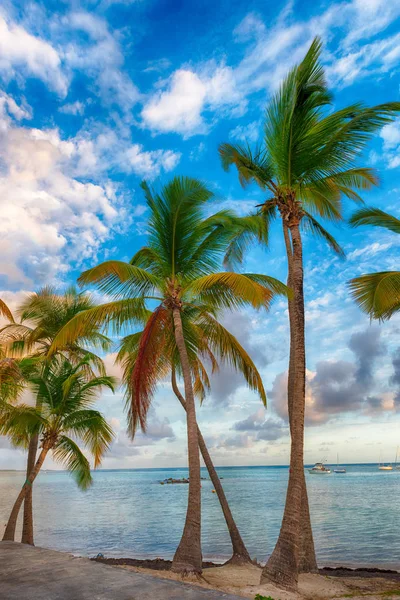 Anse Champagne beach — Stockfoto