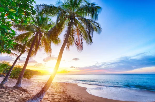Pearl Beach i Guadeloupe — Stockfoto