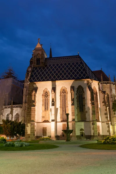 St. Elizabeth's kathedraal in Slowakije — Stockfoto