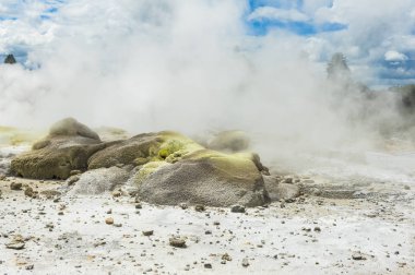 Whakarewarewa Jeotermal alanı