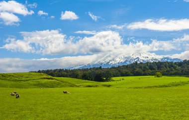 Mt. Ruapehu ve alanları