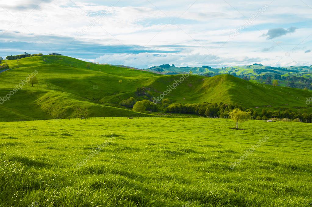 Hills of the New Zealand