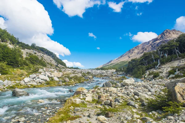 Mooie Snelle Brook Het Spoor Naar Glaciar Piedras Blancas Nationaal — Stockfoto