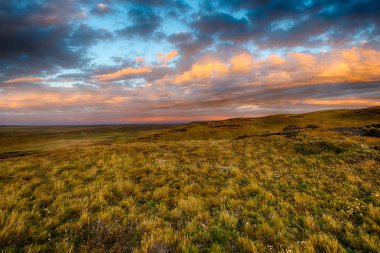Tierra del Fuego pamaps kıyı üzerinde gün batımı