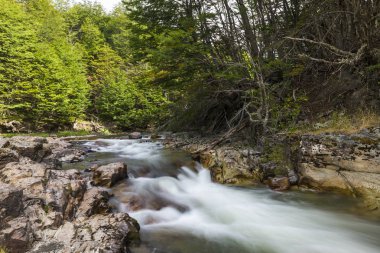 Arjantin 'deki Tierra del Fuego Ulusal Parkı' nda hızlı akıntılar