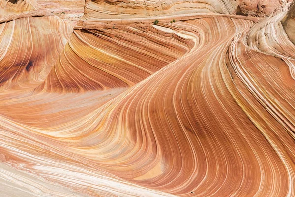 The Wave in Coyote Buttes North in Utah — Stock fotografie