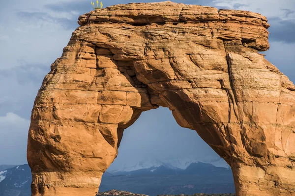 Detalle de Delicate Arch en el Parque Nacional Arches — Foto de Stock