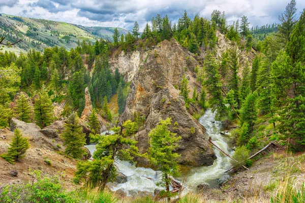 Flod i en grön ravin i Yellowstone — Stockfoto