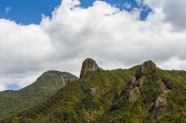 Coromandel Parkı 'ndaki Coromandel Pinnacles. Coromandel Yarımadası, Yeni Zelanda.