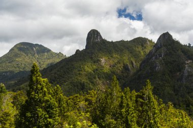 Coromandel Parkı 'ndaki Coromandel Pinnacles. Coromandel Yarımadası, Yeni Zelanda.
