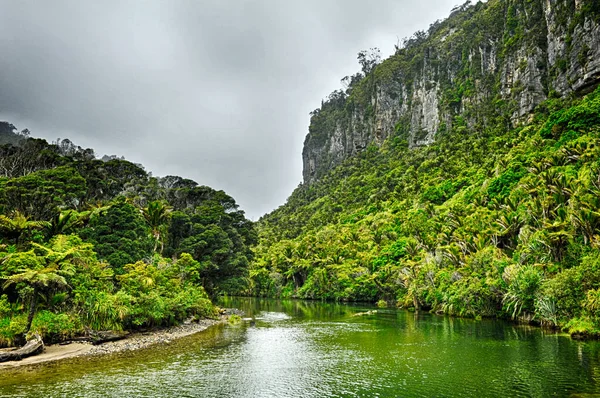 Pista Rio Pororari Parque Nacional Paparoa Nova Zelândia — Fotografia de Stock