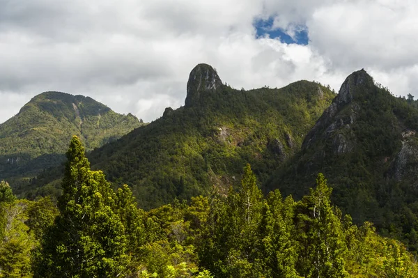 科洛曼德尔森林公园的科洛曼德尔尖塔 新西兰科洛曼德尔半岛 — 图库照片