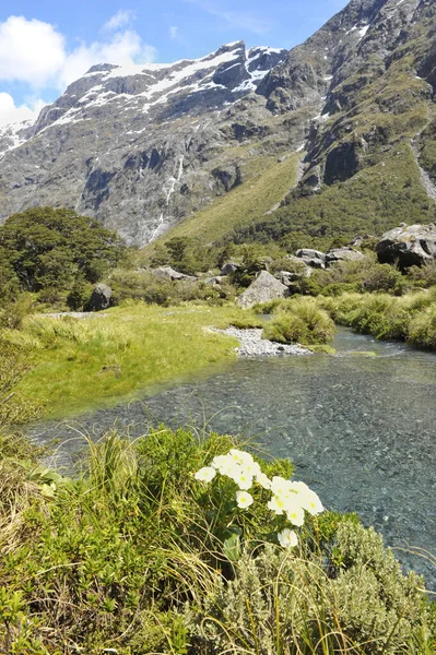 新西兰南岛 Fiordland国家公园 有雪山和绿松石湖的格特鲁德鞍座 — 图库照片