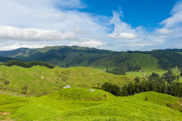 奥塔戈地区林吉斯山口黄昏时分 新西兰南部美丽的绿色起伏小山 — 图库照片