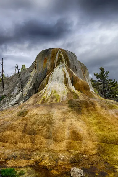 Taras Anglel Rejonie Upper Terrace Park Narodowy Yellowstone Wyoming Usa — Zdjęcie stockowe