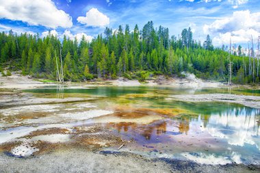 Norris Gayzer Havzası 'nda buharlı, opak termal havuzlar. Yellowstone Ulusal Parkı, Wyoming - ABD