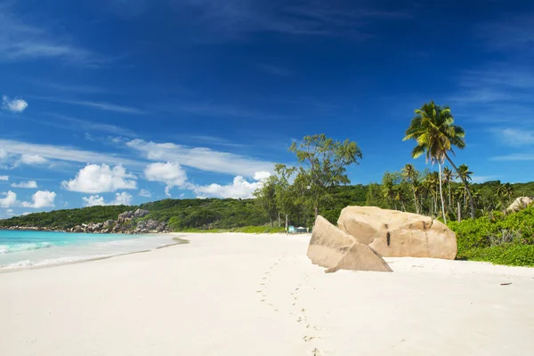 Perfekter Weißer Sand Bei Grand Anse Insel Digue Seychellen — Stockfoto