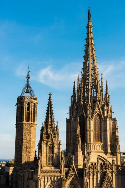 Barcelona, İspanya 'da Kutsal Haç Katedrali ve Aziz Eulalia