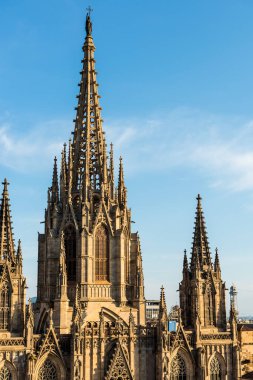 Barcelona, İspanya 'da Kutsal Haç Katedrali ve Aziz Eulalia