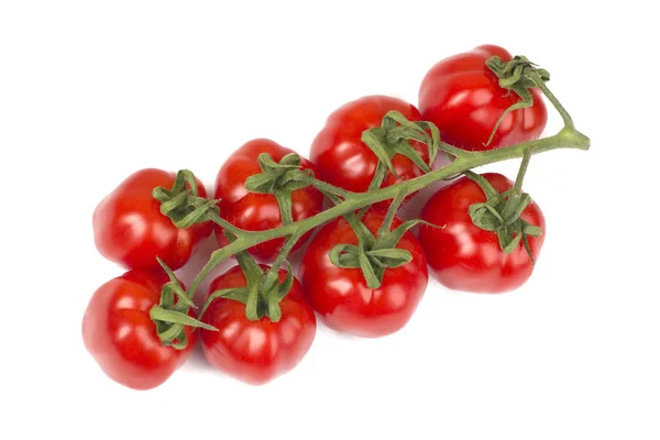 Pomodori ciliegia freschi — Foto Stock