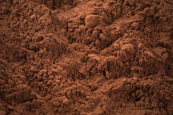 Cocoa Powder — Stock Photo, Image