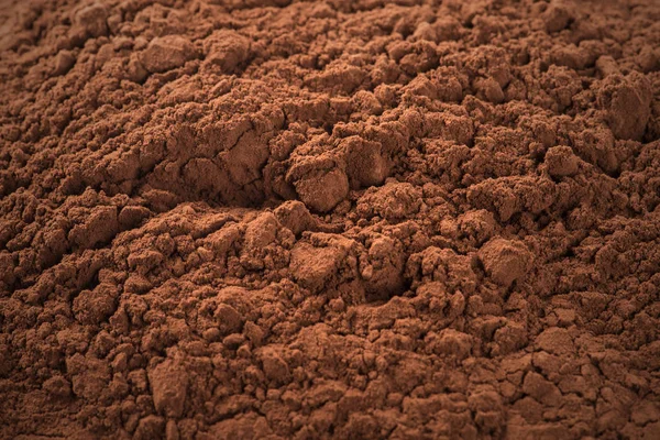 Cocoa Powder — Stockfoto