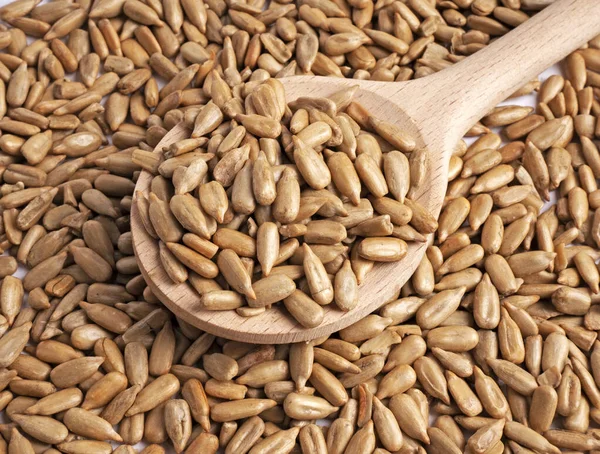 Sunflower Seed Wooden Spoon Top View — Stock Photo, Image