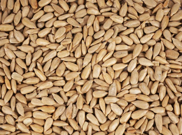 Sunflower Seeds Background Top View — Stock Photo, Image