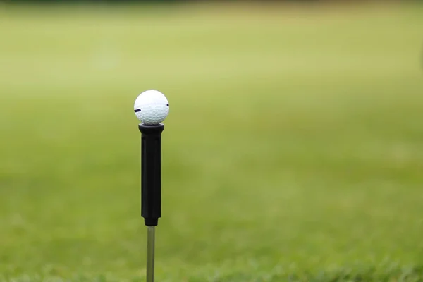 Golf ball on a grass background — Stock Photo, Image