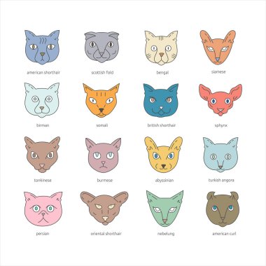 Kedi doğurmak Icon set