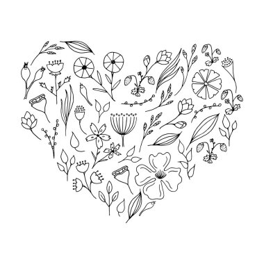 Doodle bitki ve çiçekler. Duymak şeklinde çiçek koleksiyonu