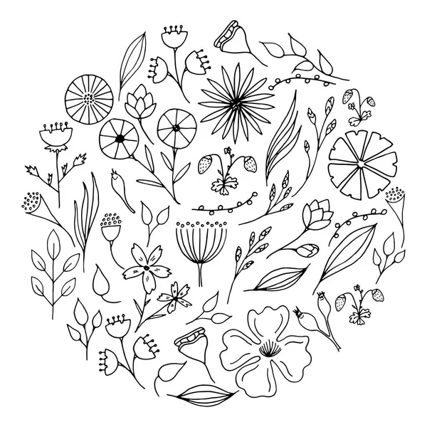 ハーブと花です。円を描くようにベクトル図. — ストックベクタ