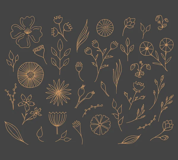 Doodle çiçek Icon set. — Stok Vektör