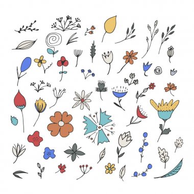 İzole çiçek öğeleri. 