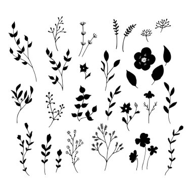 Siyah ve beyaz izole çiçek öğeleri. 