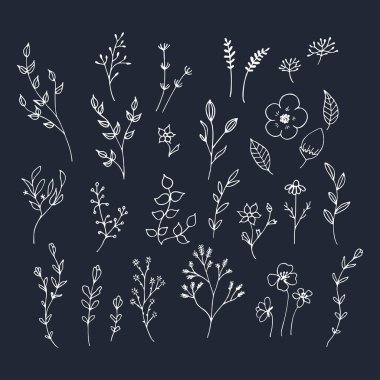 El romantik çiçek çekilmiş. Mono çizgi vektör çiçek toplama.