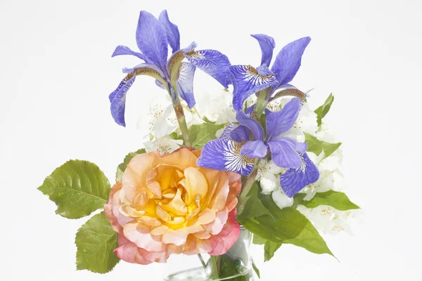 Bouquet jasmine and irises — Stock Photo, Image
