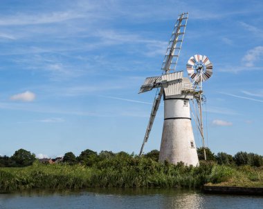 Norfolk Rüzgar pompa beyaz