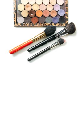 Makyaj Koleksiyonu fırçalar ve izole beyaz arka plan gölgeler