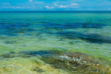 Su güzel tropikal vahşi kumsalda bulunan Phu Quoc Adası