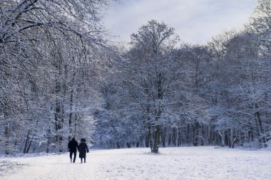 Kışın parkta yürüyen bir çift.