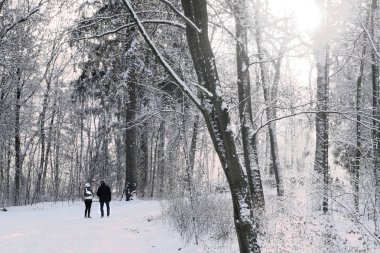 Bir erkek ve bir kız karla kaplı parkta yürüyüş.